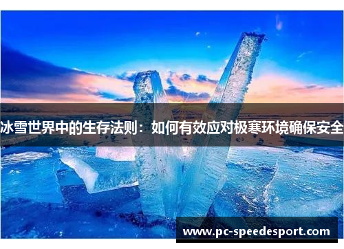 冰雪世界中的生存法则：如何有效应对极寒环境确保安全