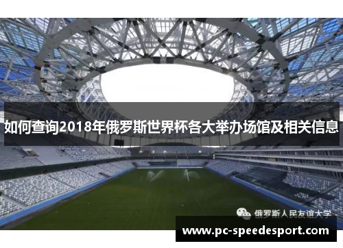 如何查询2018年俄罗斯世界杯各大举办场馆及相关信息