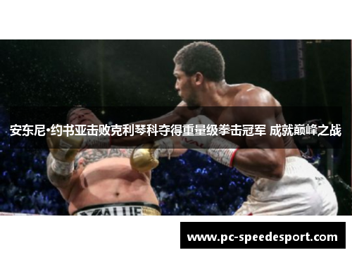 安东尼·约书亚击败克利琴科夺得重量级拳击冠军 成就巅峰之战